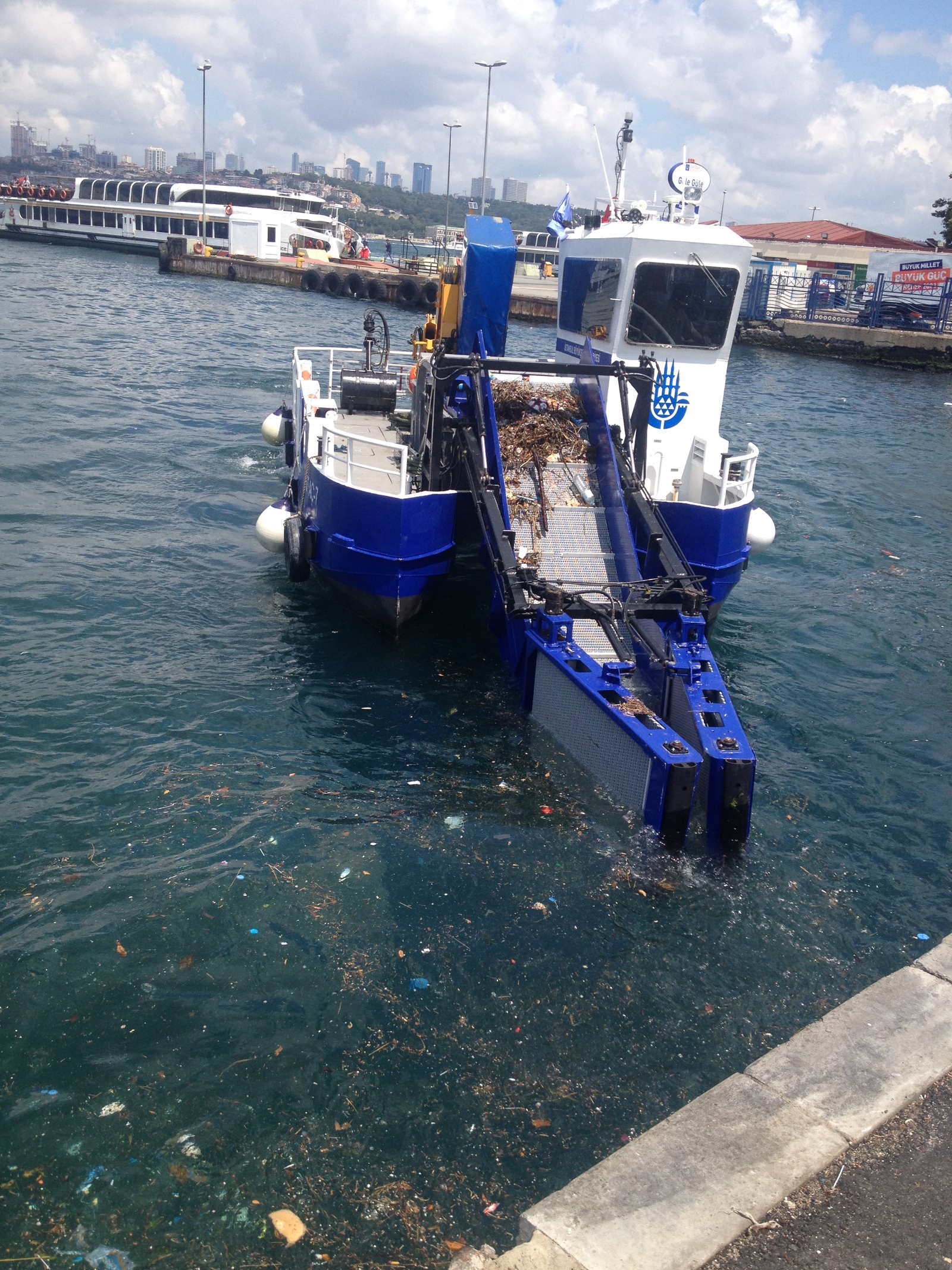 Cleaning works on the coast of the Bosphorus - My, Istanbul, Bosphorus, The photo, Longpost