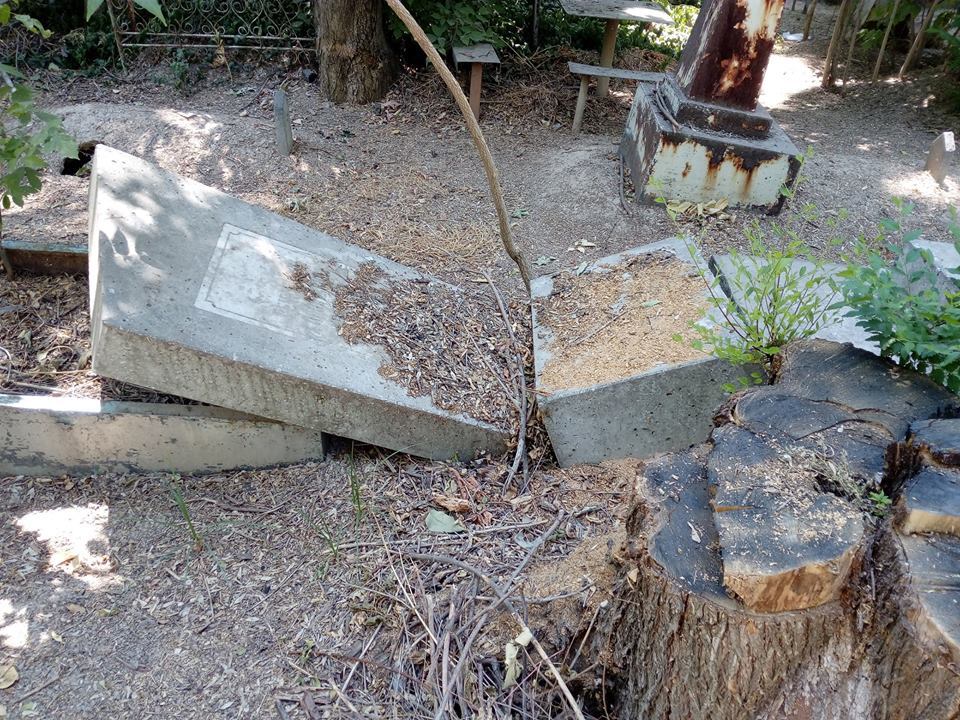 Tombstones destroyed at Domrabad cemetery in Tashkent - Cemetery, Vandalism, Tree, Longpost