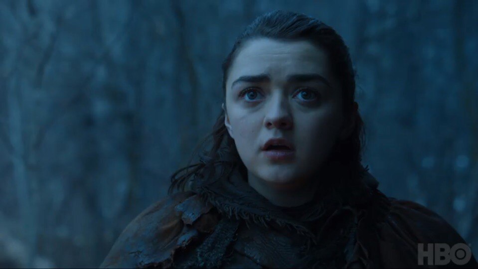 Battle of bastards, death of kings, dragons. But we forgot about the family. - Game of Thrones, Arya stark, Starkey