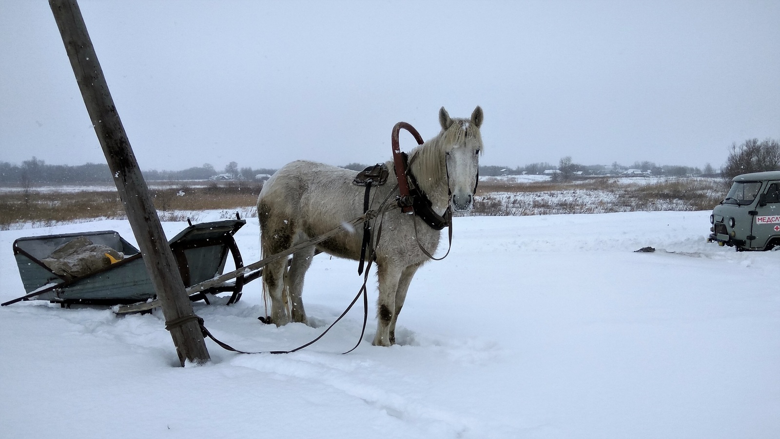 Life of a millionaire. - My, Millionaire, Village, Mosaic, Horses, Longpost