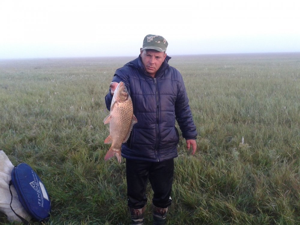 Fishing on the Kargat River (Novosibirsk Region) - Fishing, Zakidushka, Corn, Carp, Carp, Kargat, Novosibirsk region