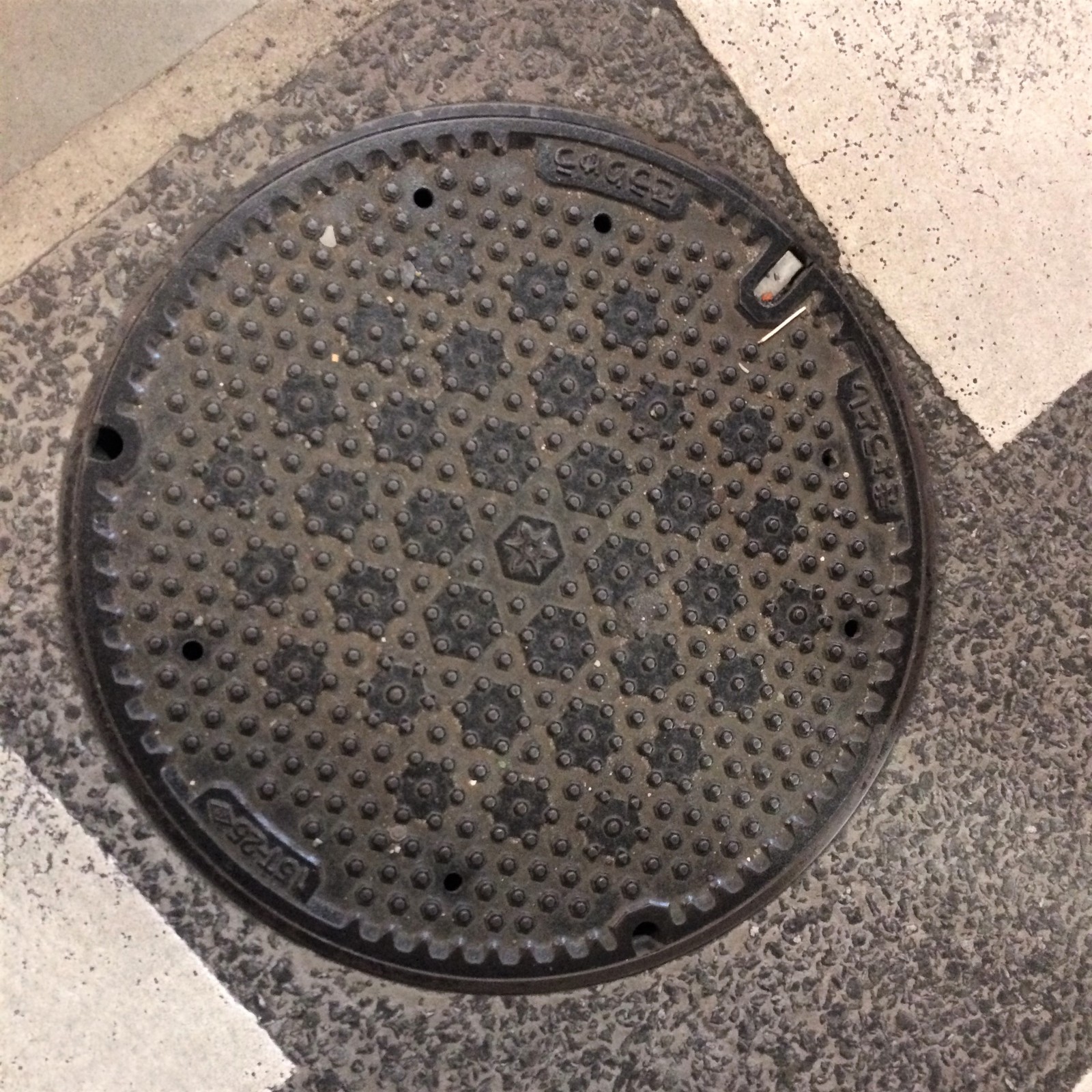 We look under our feet: sewer manholes of Japan - My, Japan, Under your feet, ordinary things, Luke, Travels, Osaka, Kyoto, Longpost