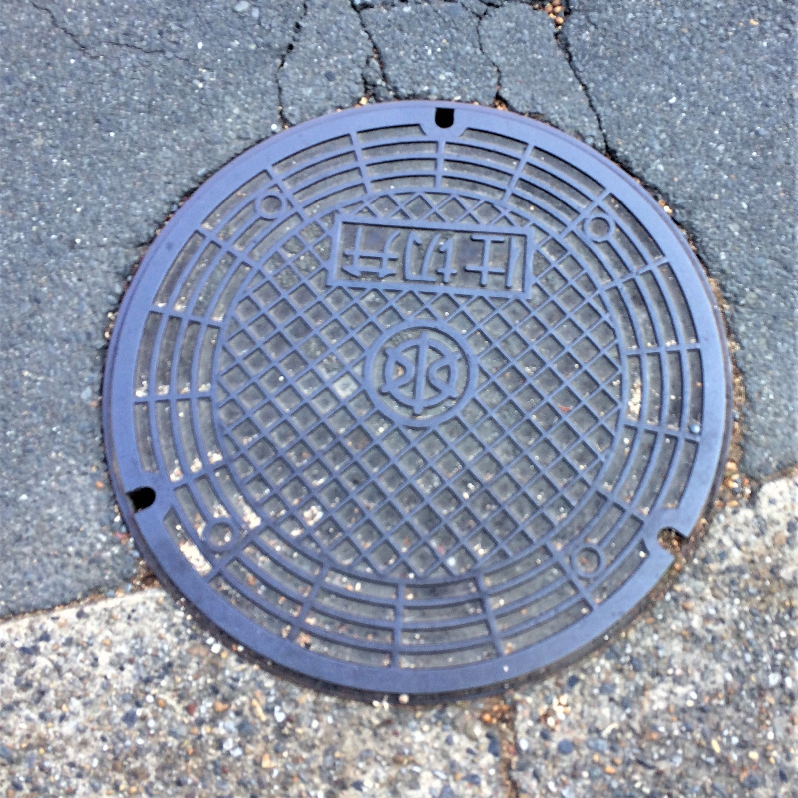 We look under our feet: sewer manholes of Japan - My, Japan, Under your feet, ordinary things, Luke, Travels, Osaka, Kyoto, Longpost