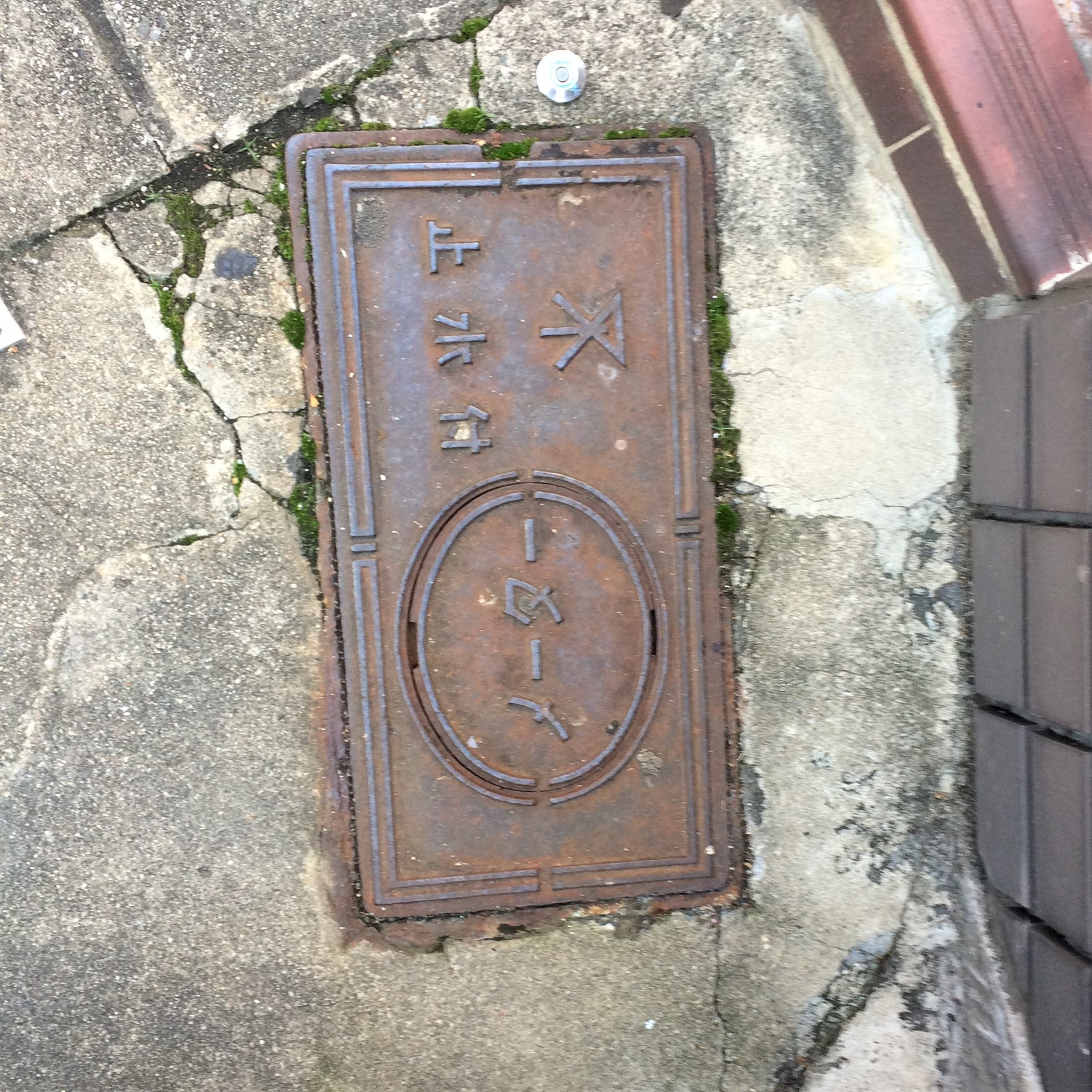 We look under our feet: sewer manholes of Japan - My, Japan, Under your feet, ordinary things, Luke, Travels, Osaka, Kyoto, Longpost