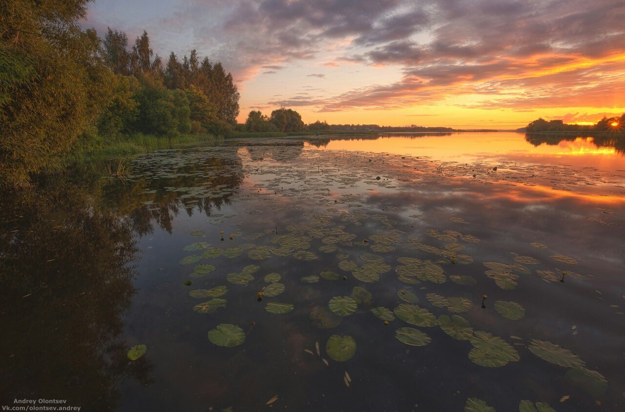 Dubna - Summer, 2017, Dubna, Moscow region, The photo, Nature, Landscape, A boat, Longpost