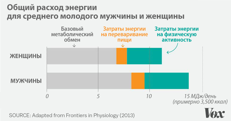 Why does exercise /almost/ not help to lose weight? - Slimming, Sport, Text, Research, Load, Diet, Physical activity, Physical Education, Longpost