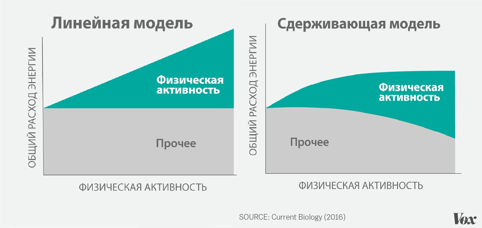 Иметь верхний. Сдерживающая модель и линейная модель физической активности.