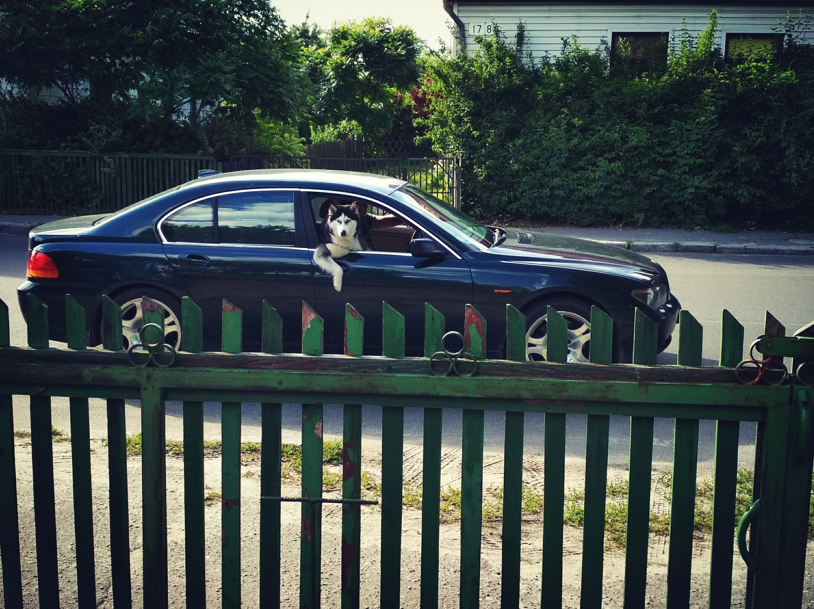 Who to pick up.... - My, Car, Dog, Husky