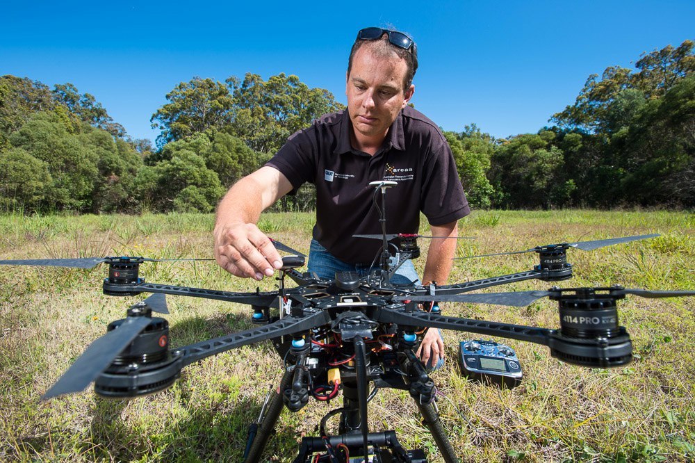 Bodyguard drones guarding koalas - Ecology, news, The photo, Interesting, Animals, Nature, Milota, Longpost