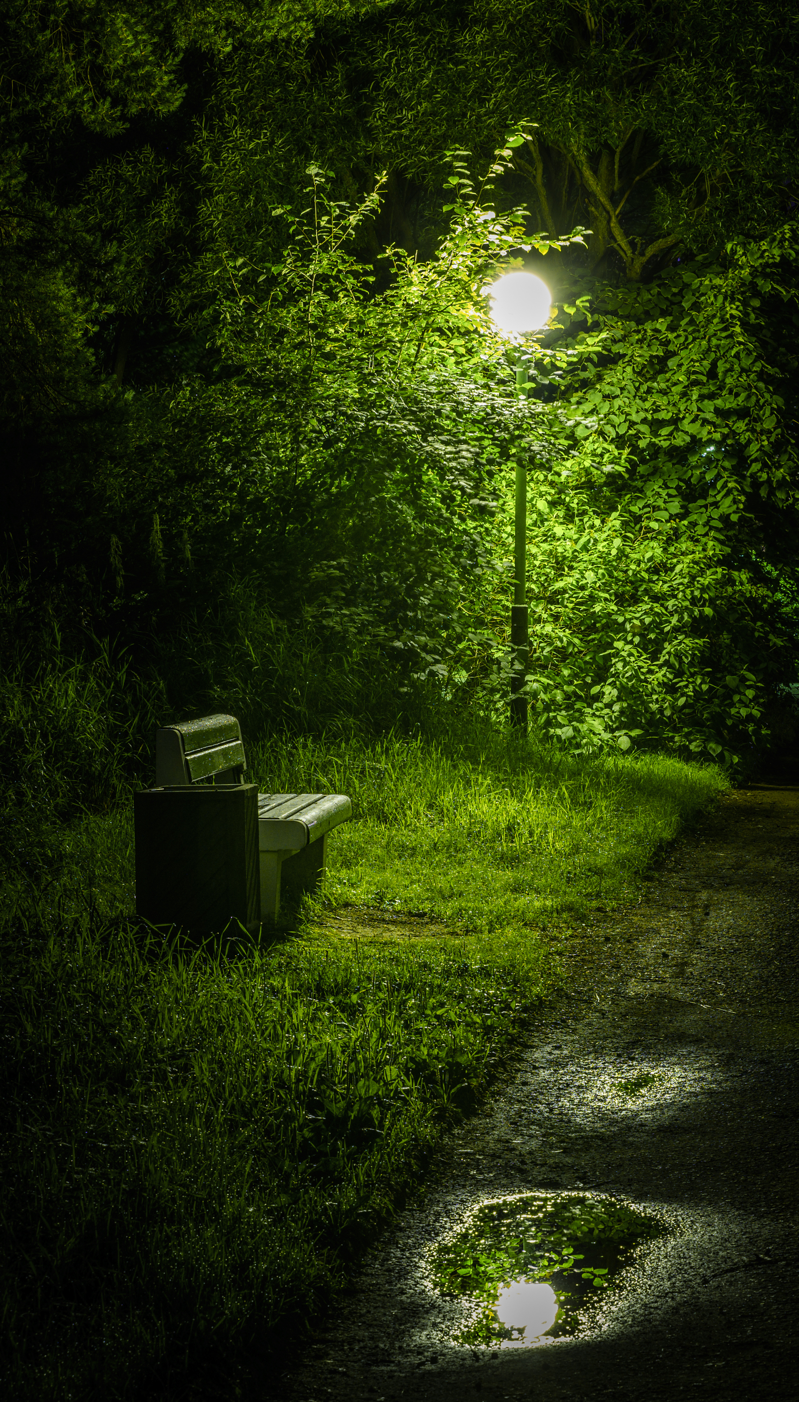 Night Sestroretsk Resort - My, Sestroretsky Resort, Night, Lamp, Benches, Canon 24-70, Longpost