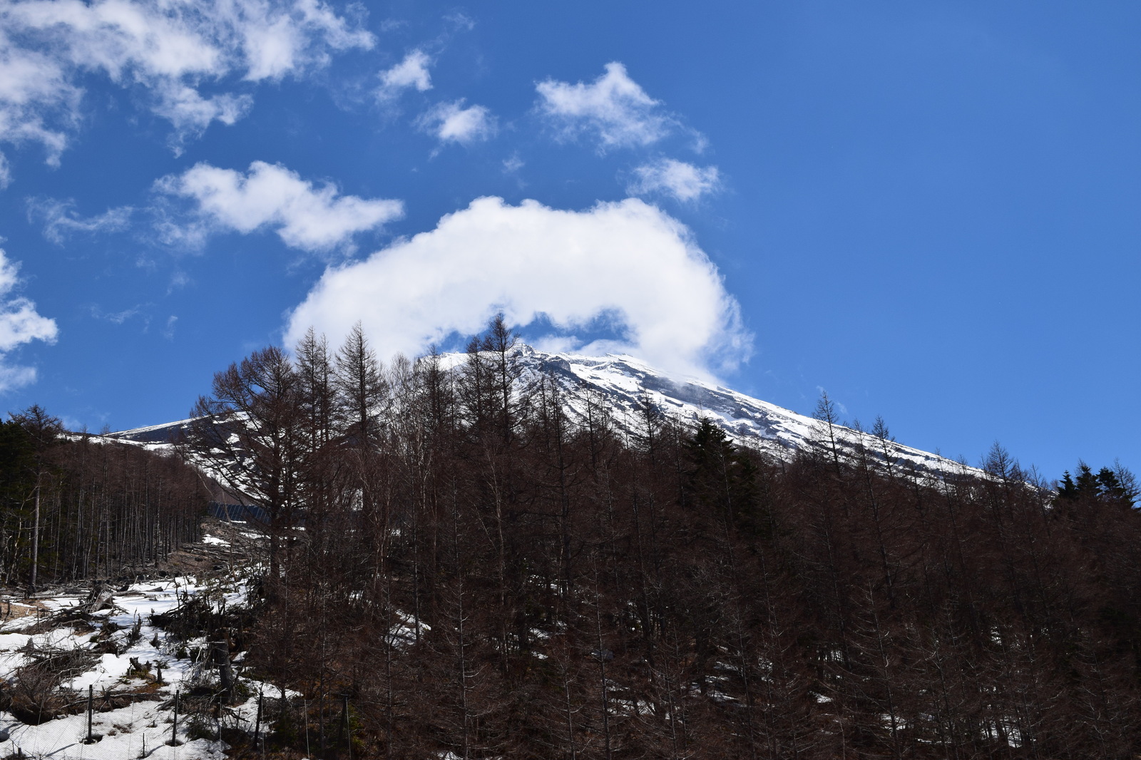 About a trip to Japan. Part 3. Fuji. Hakone. - My, Japan, Travelers, Travels, The photo, Longpost