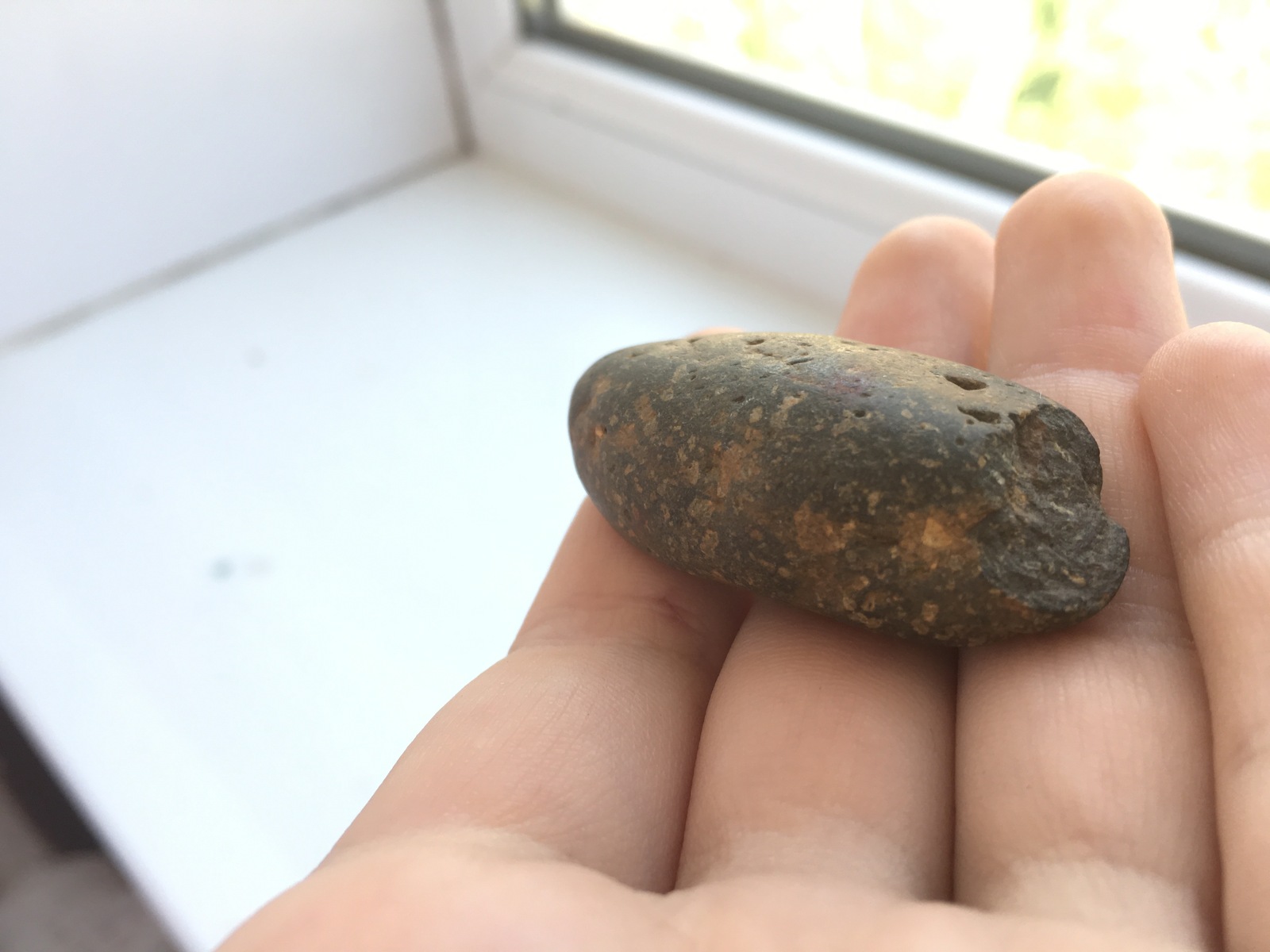 A stone with plant prints and two more stones - My, , Plants, , Longpost