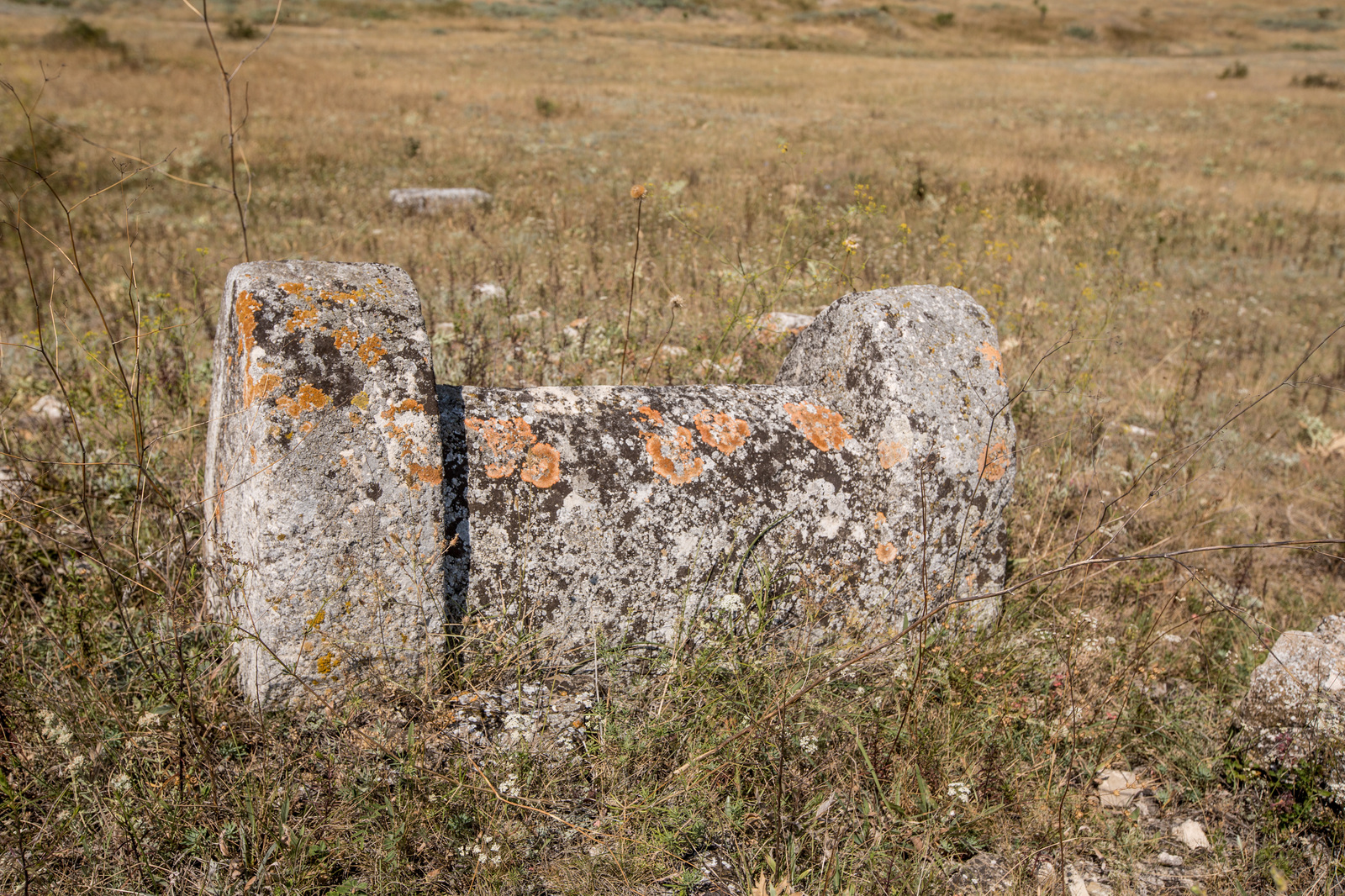 Old Cemetery - My, Cemetery, The photo, Crimea, sights, Travels, Longpost