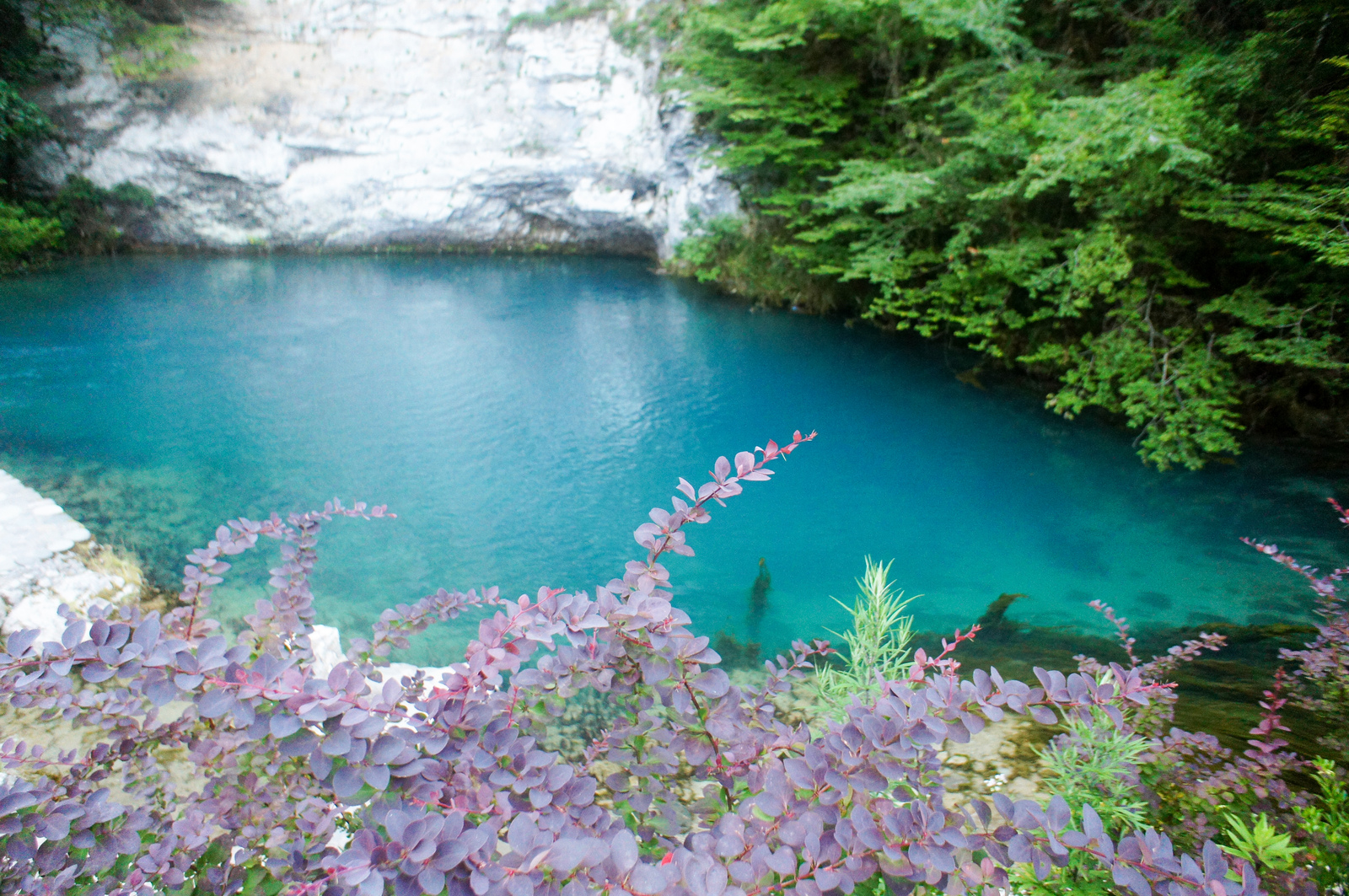 Journey to Abkhazia - My, Abkhazia, , Travels, beauty of nature, Longpost