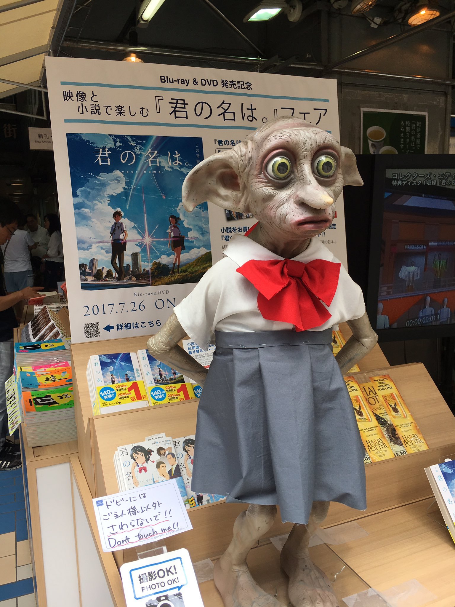 Dobby's Adventures in Japan - Dobby, Harry Potter, Japan, Addiction