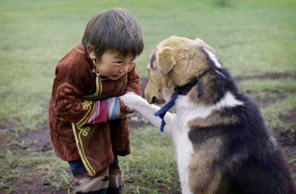 Hello my friend - Dog, Boy, Friends