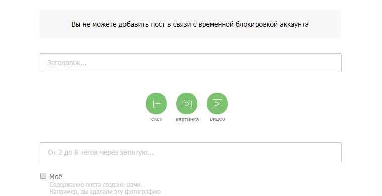 Хомяки, много хомяков. | Пикабу