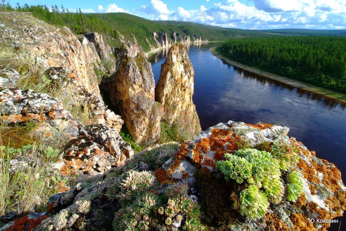 Amga - one of the most picturesque rivers of Yakutia - Yakutia, Amga, , The photo, Longpost