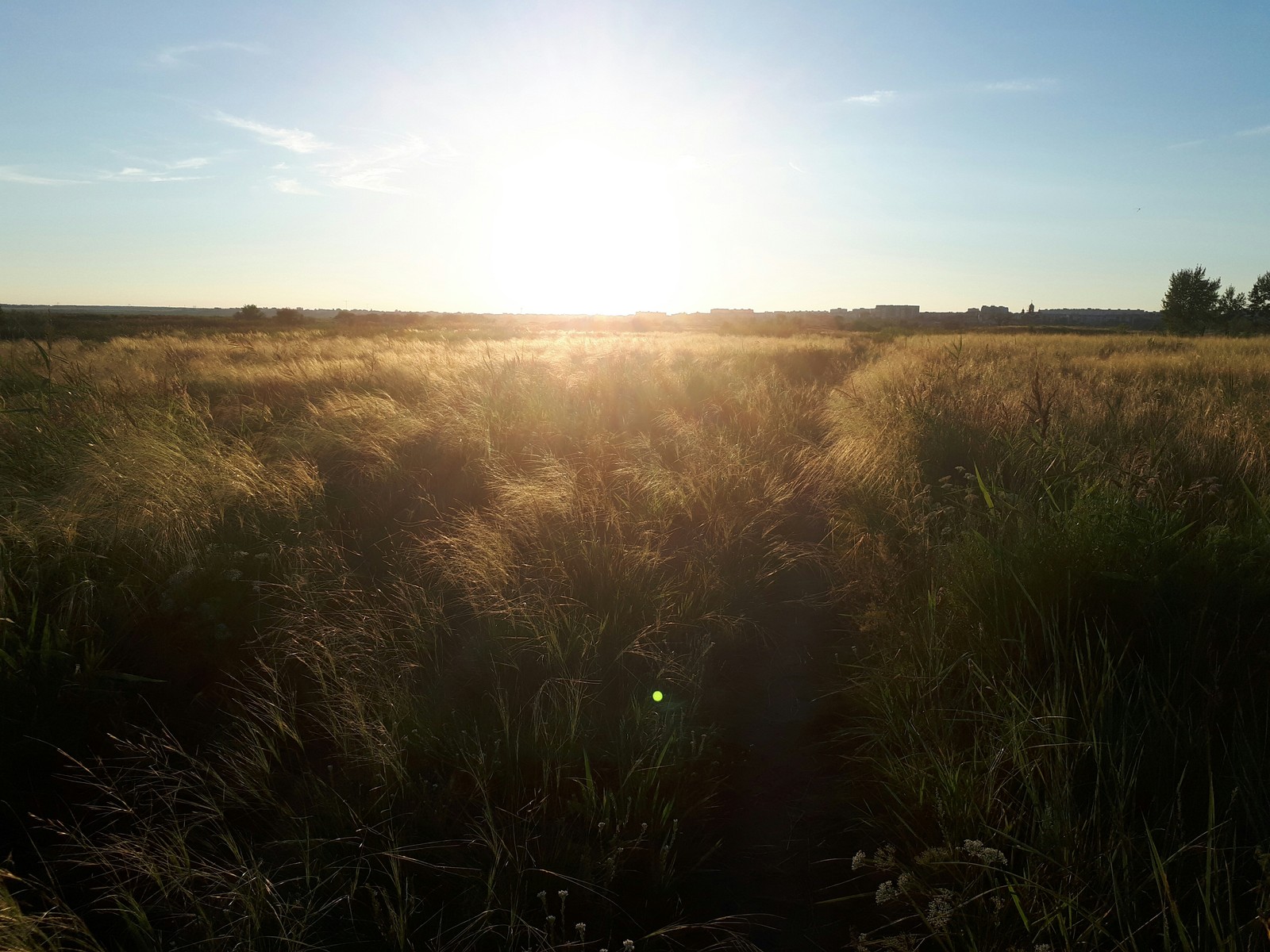 Steppe - My, The Great Steppe, Kazakhstan