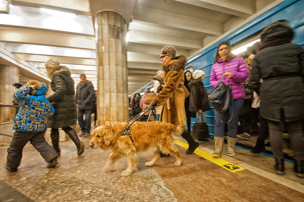 How to skydive to the touch and go to the mountains with a guide dog - Blind, Guide-dog, Longpost, The blind