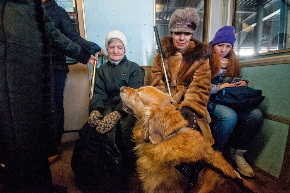 How to skydive to the touch and go to the mountains with a guide dog - Blind, Guide-dog, Longpost, The blind