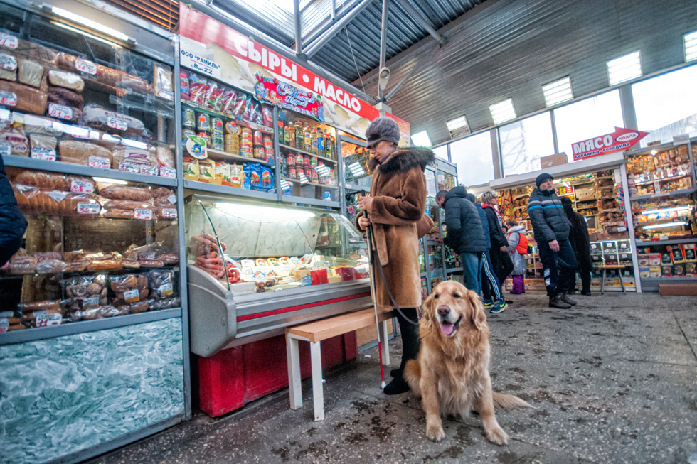 How to skydive to the touch and go to the mountains with a guide dog - Blind, Guide-dog, Longpost, The blind