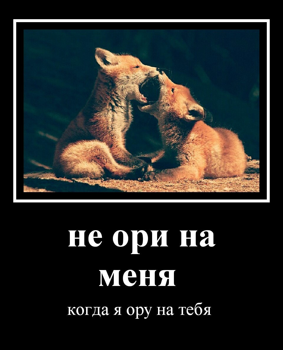 smile - My, Menagerie, Animals, Humor, Laugh, Relationship