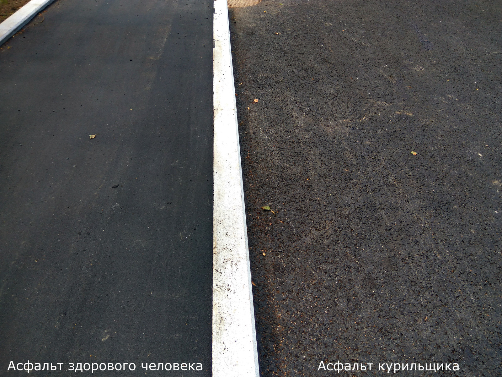 New asphalt on Poklonnaya Hill. Rollers have no place here. - My, Poklonnaya Gora, Victory park, Rollers, Asphalt, Sadness, Longpost