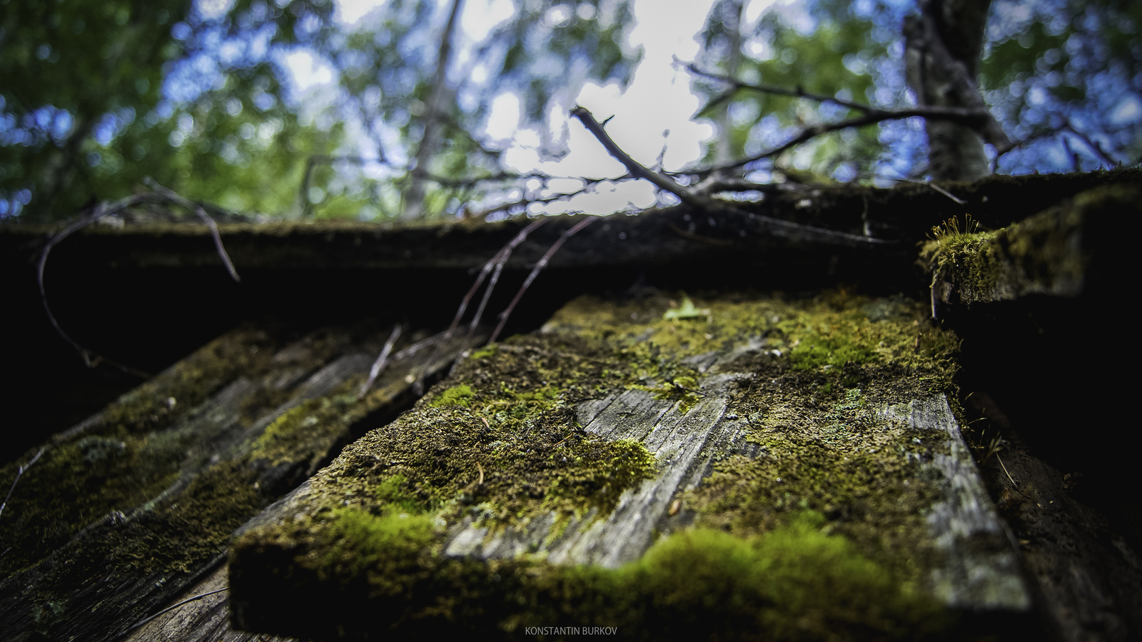 Музей "Тальцы". Иркутск. | Пикабу