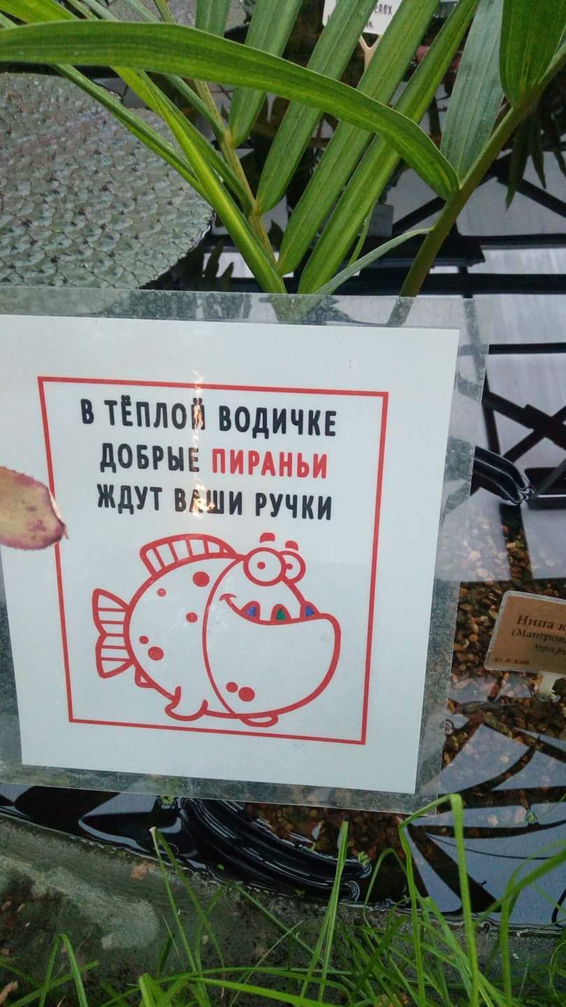 When Prohibitions Don't Help - Piranha, Табличка