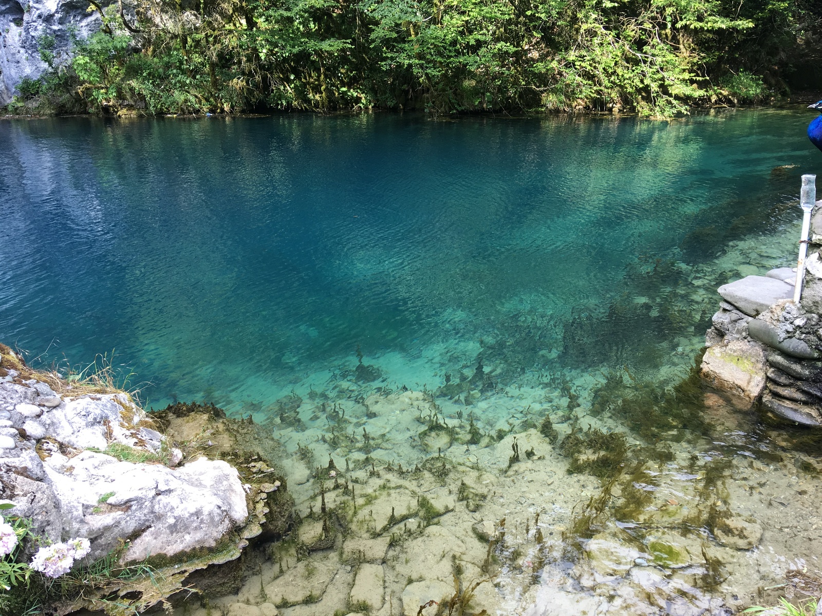 My five kopecks about holidays in Abkhazia - My, Abkhazia, Relaxation, Summer, Divorce, Nature, Like, Longpost