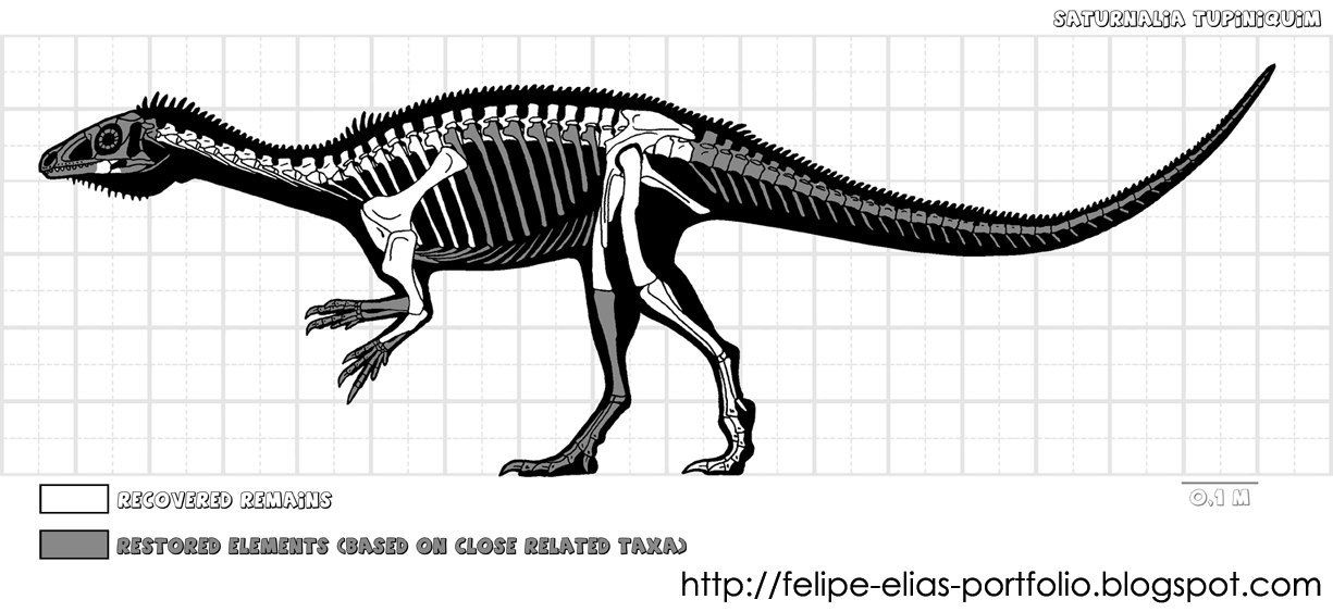 The alphabet of dinosaurs: from Eoraptor to Triceratops. - My, Paleontology, , Dinosaurs, Triassic period, Longpost