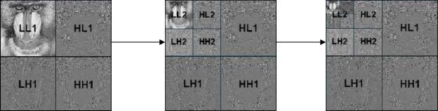 JPEG2000 on fingers. Part 3. Compression scheme and totals - My, Jpeg, , Compression, Longpost