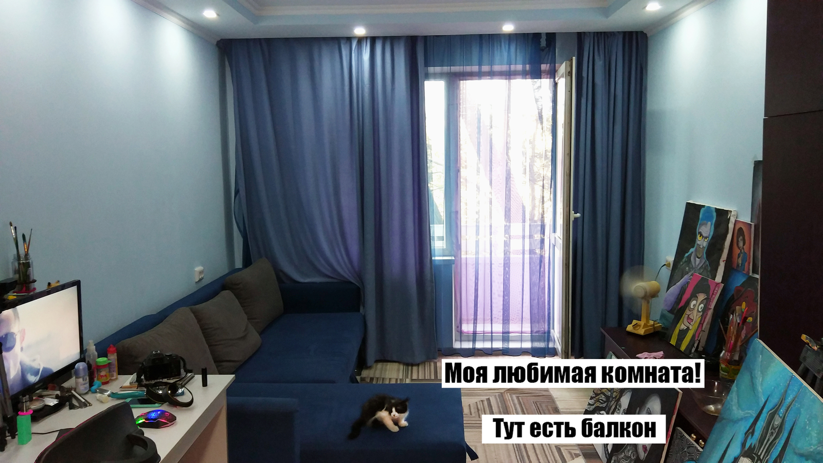 I will sell a kitten in Almaty - My, cat, Apartment, The property, Purchase, Almaty, Longpost