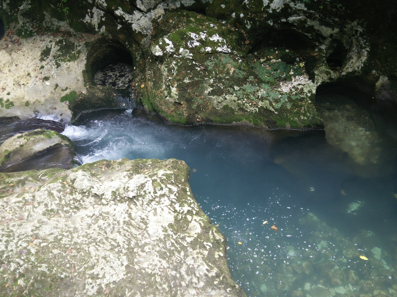 Another story about holidays in Abkhazia - My, Abkhazia, Relaxation, Travels, Ritsa, Sukhum, Longpost