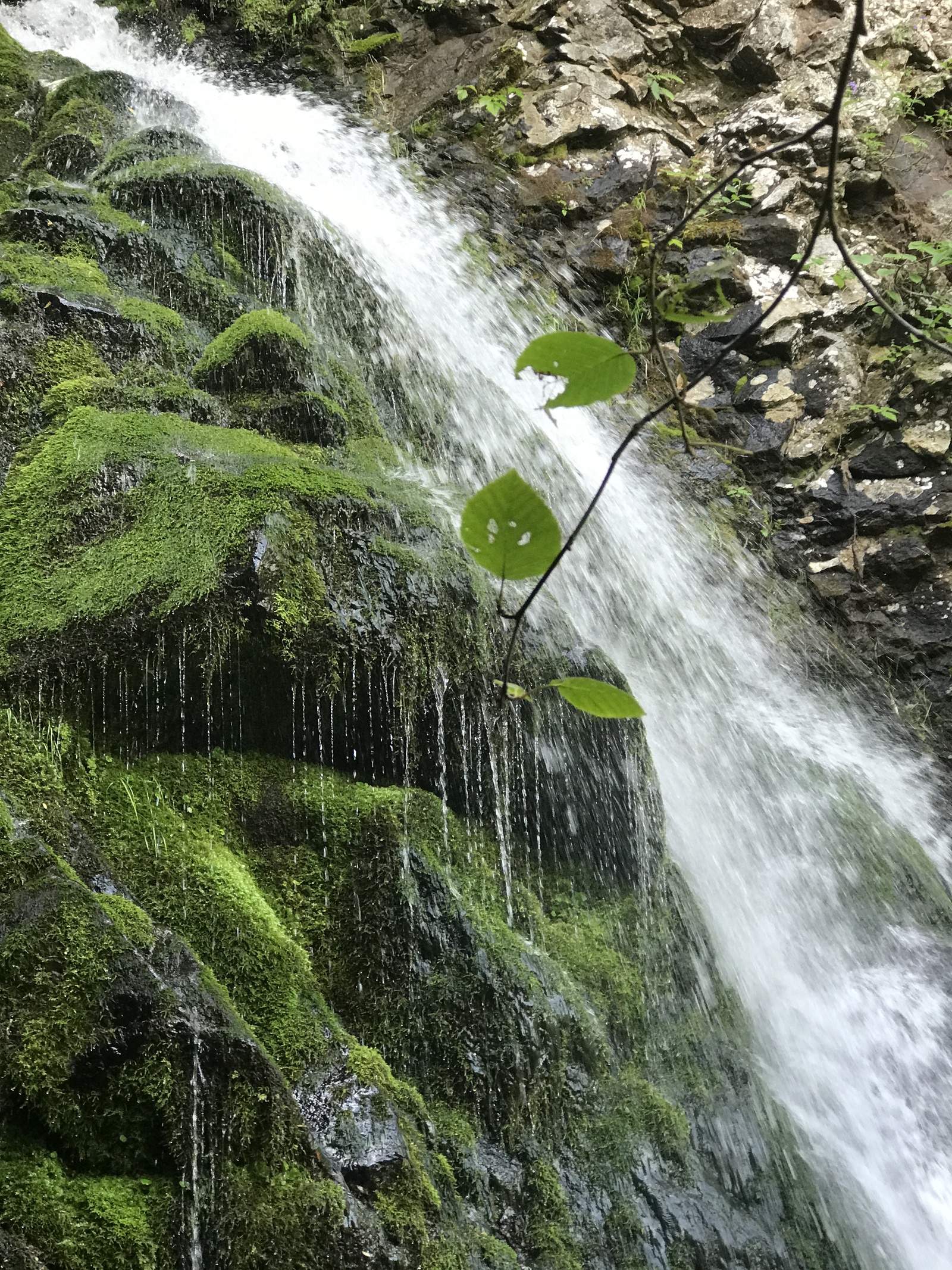 A bit of Sakhalin nature in the feed - My, Sakhalin, Travels, Longpost, My