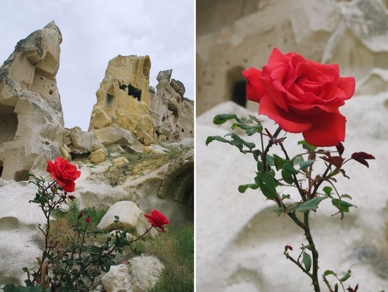 Cappadocia details. - My, Turkey, Tourism, Cappadocia, Details, Souvenirs, Travels, The photo, Flowers, Longpost