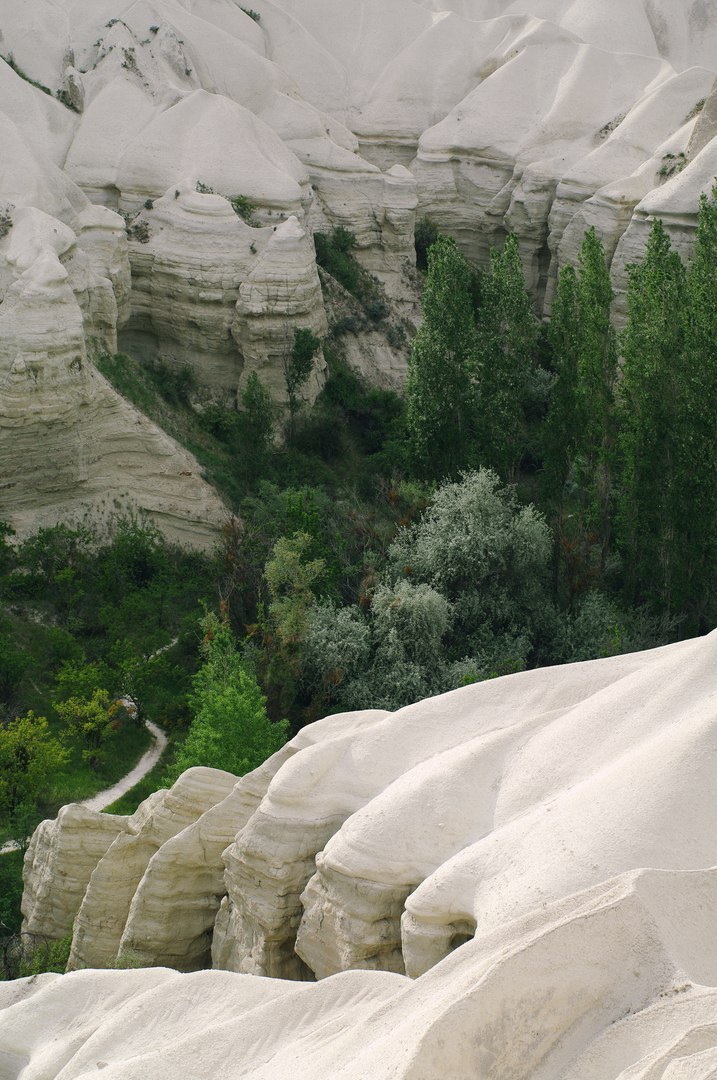 Cappadocia details. - My, Turkey, Tourism, Cappadocia, Details, Souvenirs, Travels, The photo, Flowers, Longpost