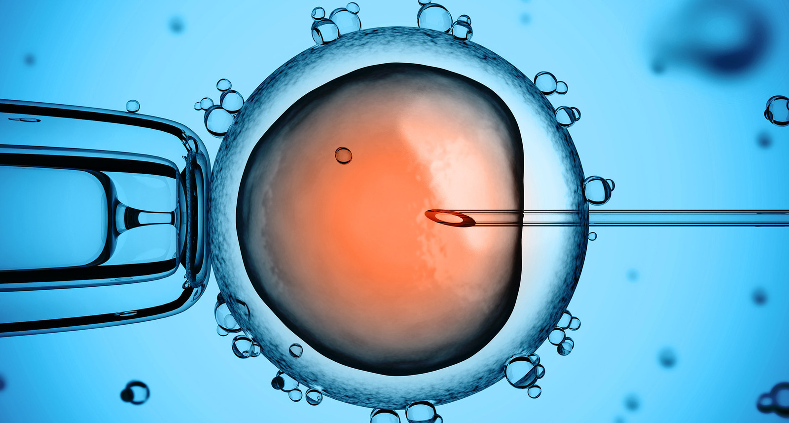 Scientists have removed the gene responsible for heart disease from the DNA of a human embryo - , DNA, Research, Genetics