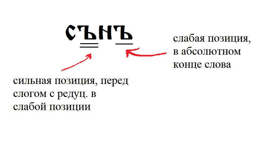 The consequences of the fall of the reduced, or why the dream is dreaming - My, Linguistics, Russian language, History of the language, Etymology, Philology, Language