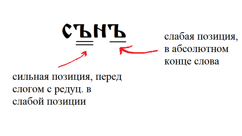 Следствия падения редуцированных, или почему сон снится - Моё, Лингвистика, Русский язык, История языка, Этимология, Филология, Язык