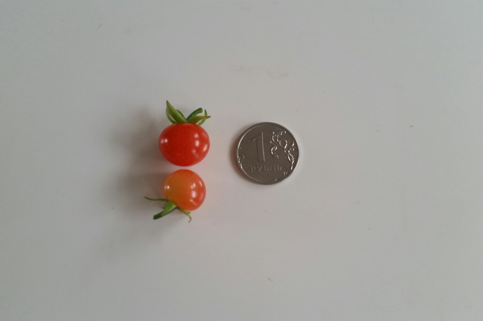 Incredible tomato crop this year - Tomatoes, Summer