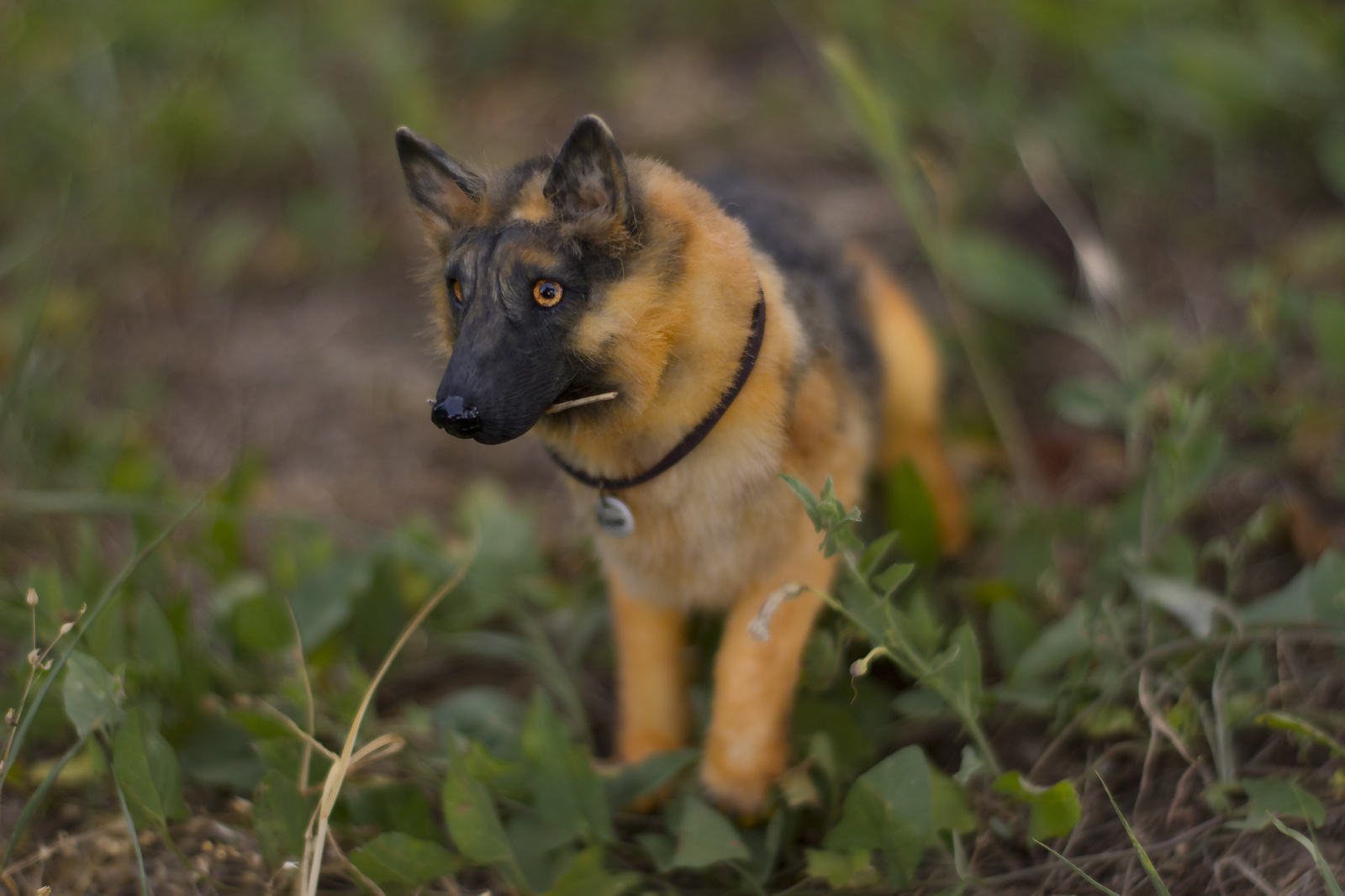 Mini copy of a pet. - My, Handmade, German Shepherd, Dog, Handmade, Polymer clay, Longpost, Needlework without process