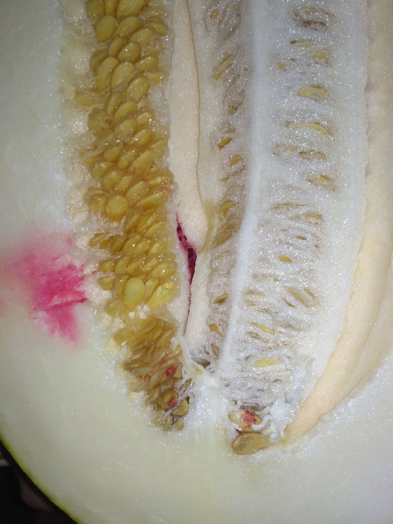 Still, I shouldn't have bought a melon - My, Melon, Pyaterochka, Pesticides, , , Longpost