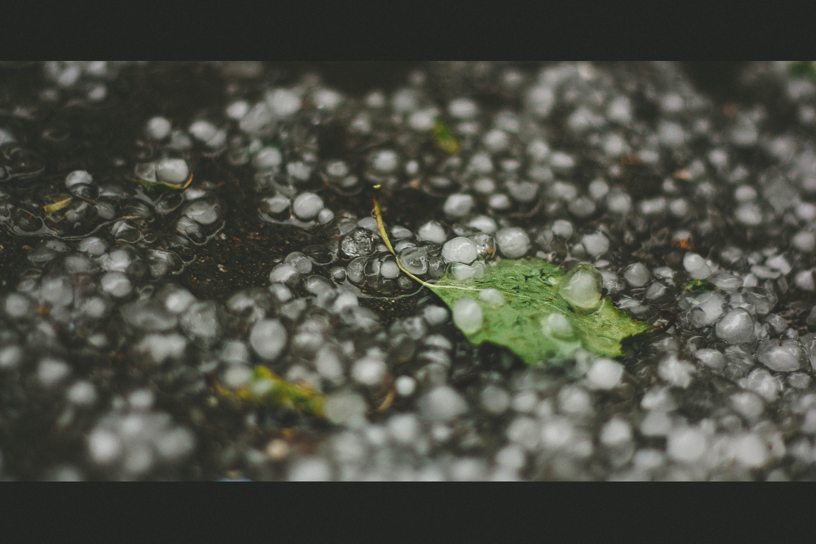 I love Petersburg summer - My, Saint Petersburg, Rain, Hail, Weather, Summer, The photo, Longpost