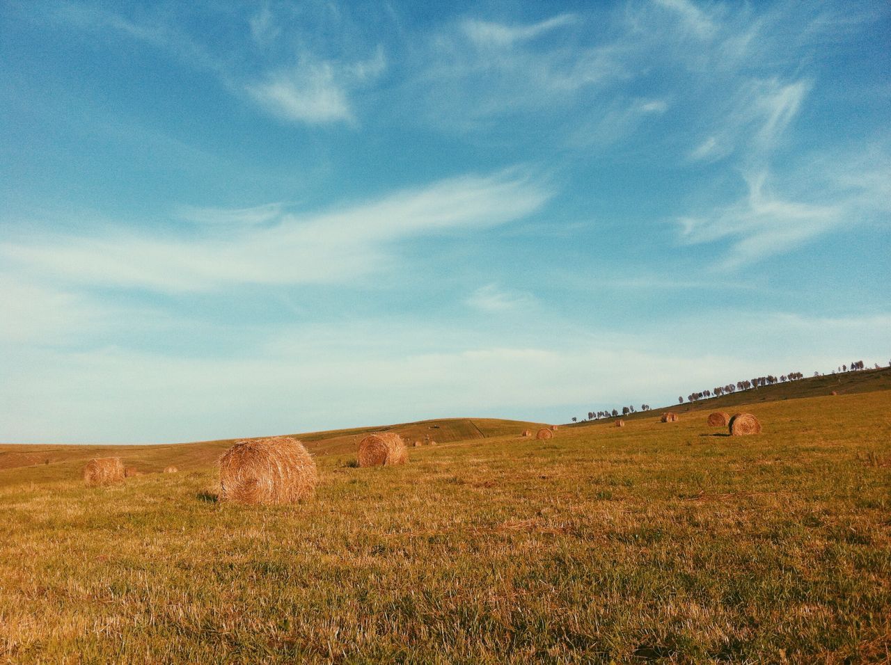 Such a different Altai - My, The photo, Altai, Landscape, Photo on sneaker, Altai Republic