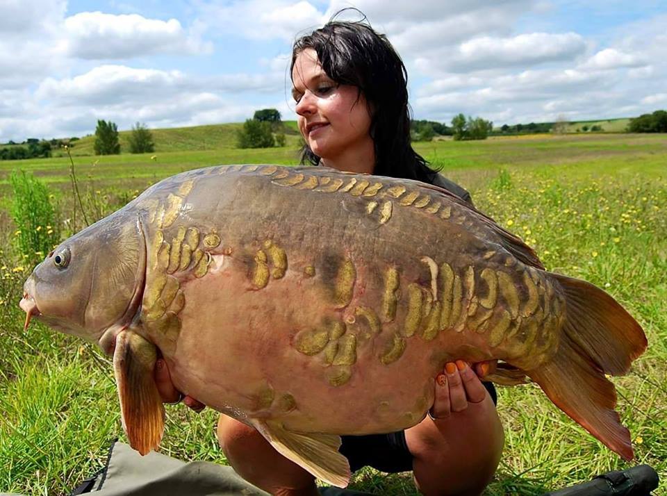 Duvushki and sports carp fishing - NSFW, My, Carp, carp fishing, Beautiful girl, Girls, Longpost