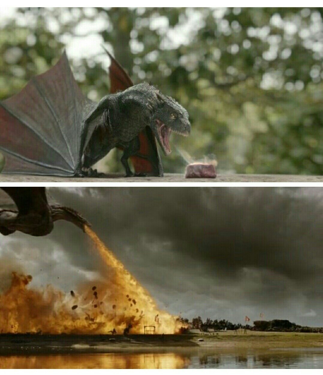 When the dragon budget was increased - Game of Thrones, Game of Thrones Season 7, Spoiler, Drogon, The Dragon, Budget