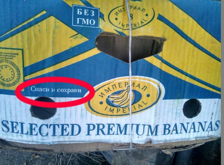 Just a note on a banana box - Inscription, Box, Bless and save