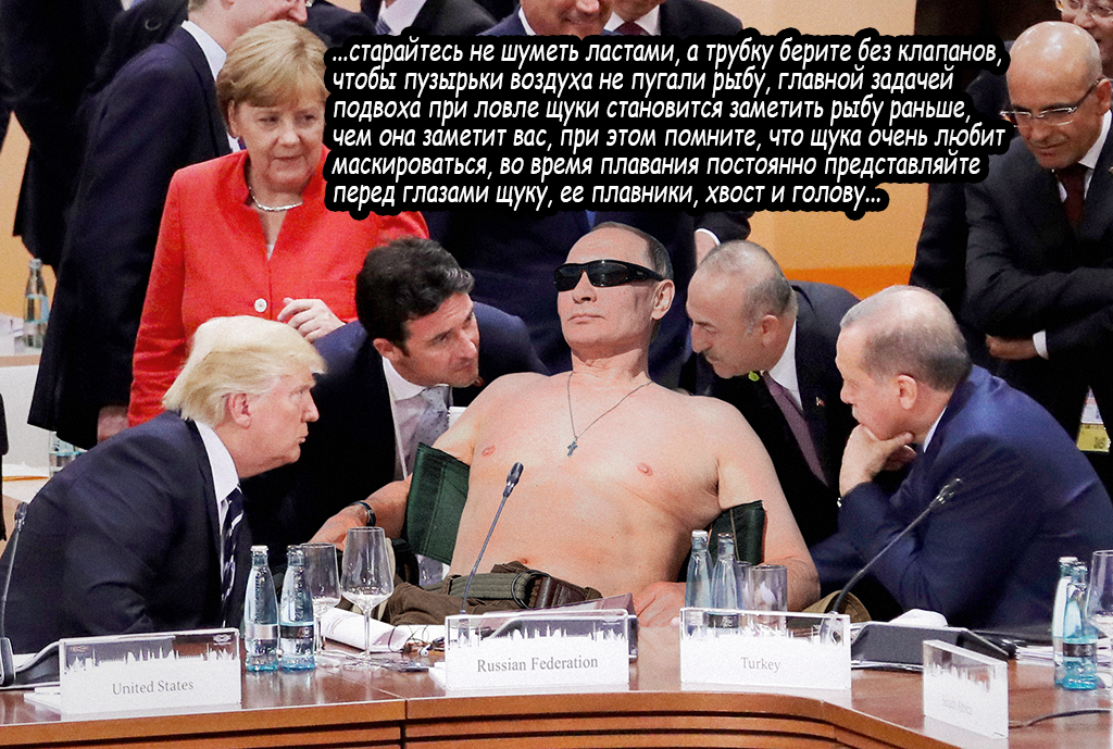 Fishing Dialogues - My, Vladimir Putin, Donald Trump, G20, Politics, Spearfishing, The president, Pike, Photoshop